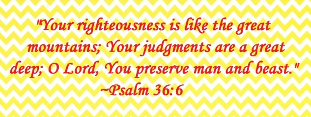 elephants3sized1quote