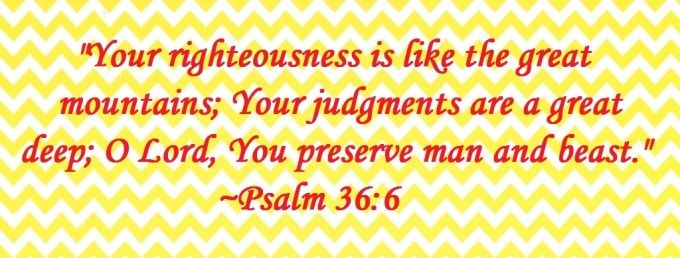 elephants3sized1quote