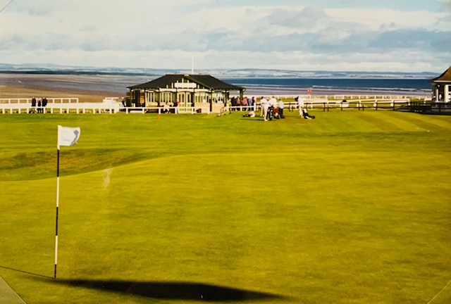 A large green field
Description automatically generated